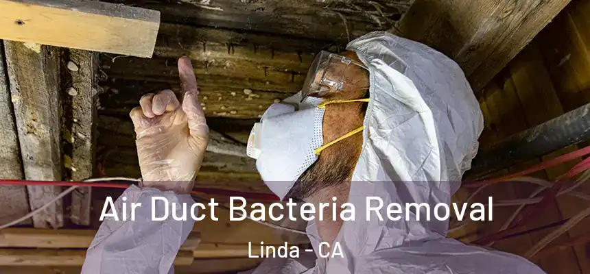 Air Duct Bacteria Removal Linda - CA