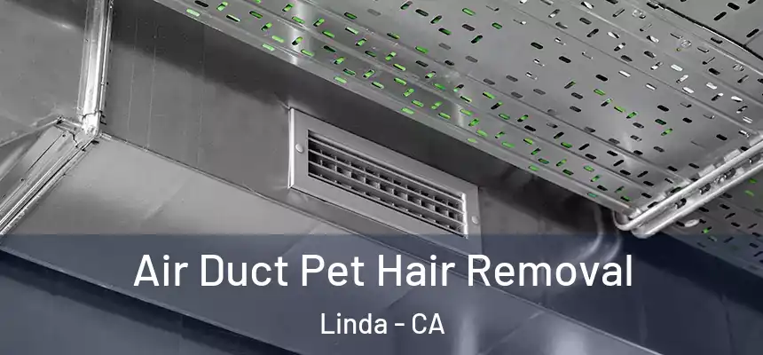  Air Duct Pet Hair Removal Linda - CA