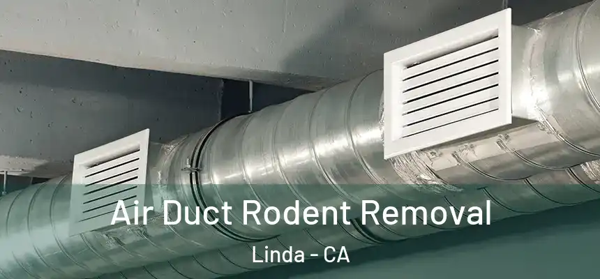  Air Duct Rodent Removal Linda - CA