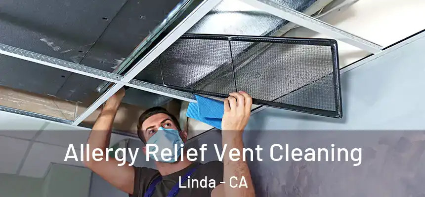 Allergy Relief Vent Cleaning Linda - CA