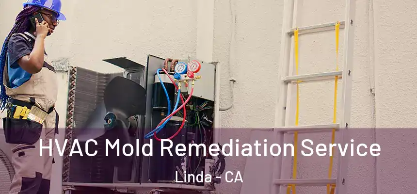  HVAC Mold Remediation Service Linda - CA