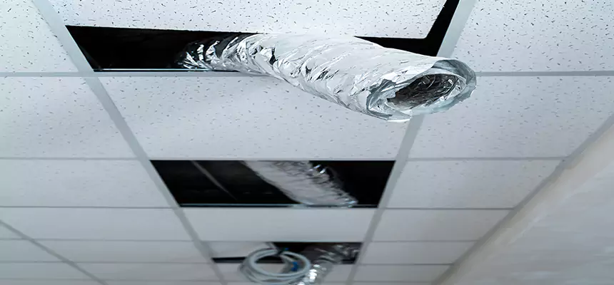 Our Air Duct Pet Hair Removal Services in Linda, CA