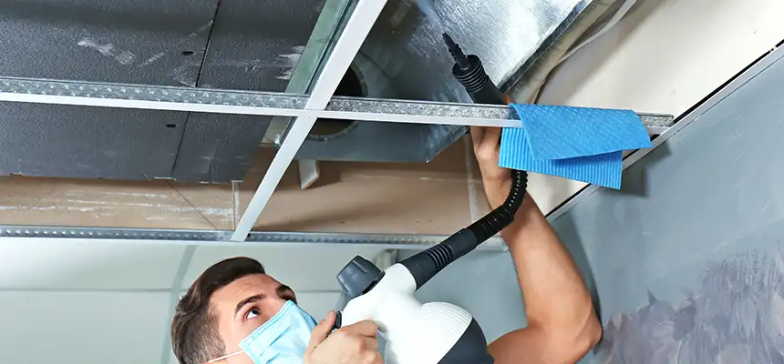 Our Air Duct Rodent Removal Services in Linda, CA