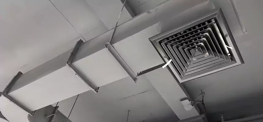 Restorative Allergy Relief Vent Cleaning – Coil, Blower & Housing Detail in Linda