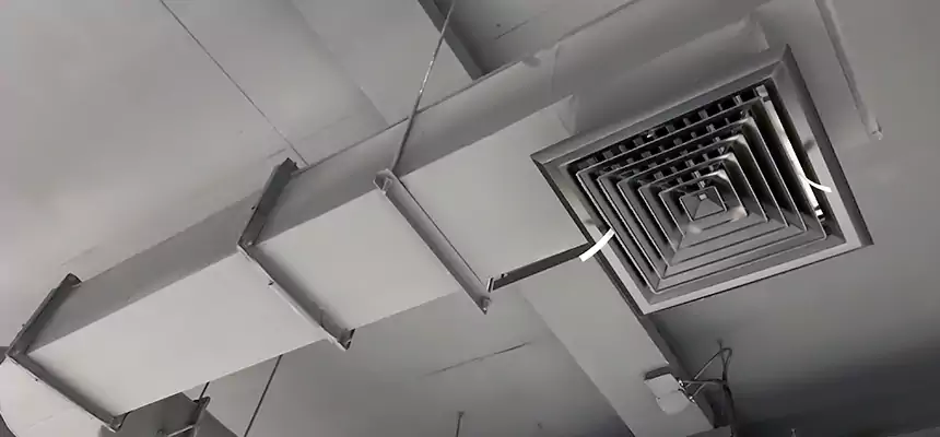 Our Pest Removal From Ducts Services in Linda, CA