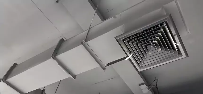 Our Rodent Droppings In Vents Services in Linda, CA