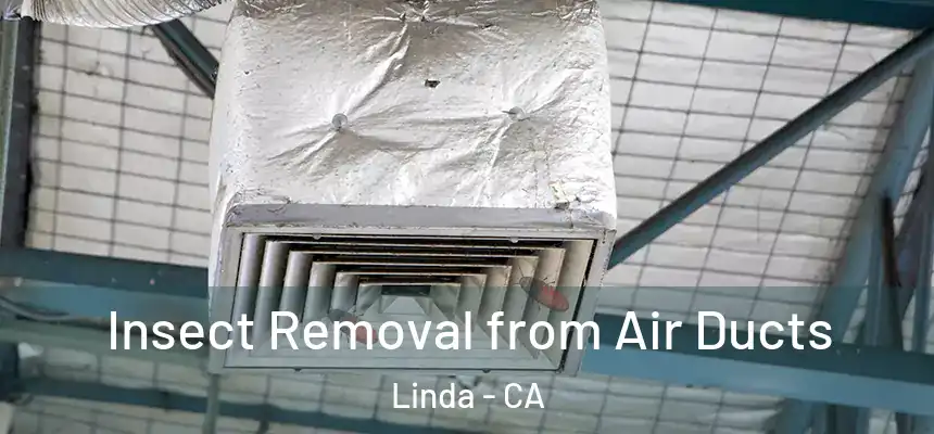  Insect Removal from Air Ducts Linda - CA
