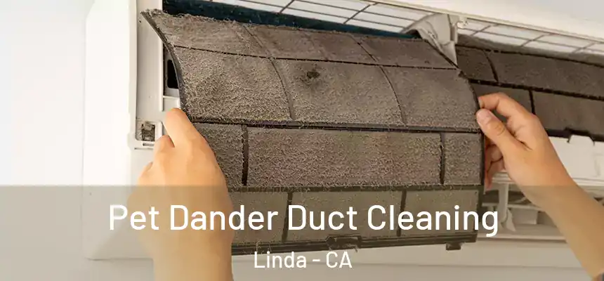  Pet Dander Duct Cleaning Linda - CA