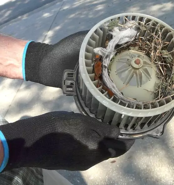 About Air Duct Mice Removal in Linda, CA